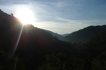 Couette-café Des Sources Cevenol Chambon *