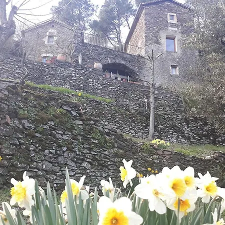 Des Sources Cevenol Chambon Chambon (Gard)