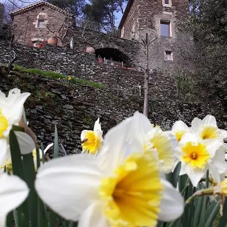 Couette-café Des Sources Cevenol Chambon Chambon (Gard)