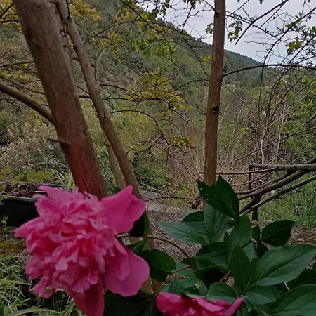 Des Sources Cevenol Chambon *