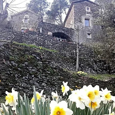 Bed & Breakfast Des Sources Cevenol Le Chambon