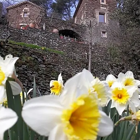 Des Sources Cevenol Bed & Breakfast